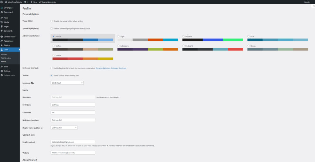 Logging into WordPress