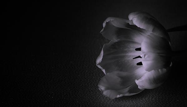 Funeral Home SEO Marketing