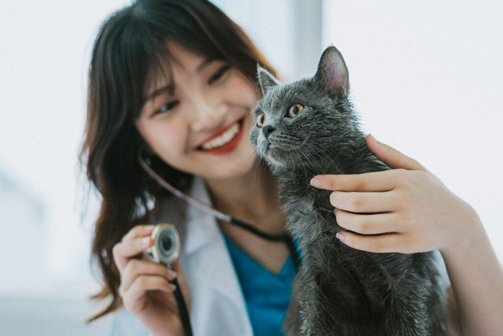 Local SEO for Veterinarians