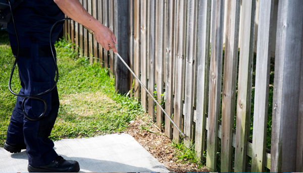 Pest Control SEO Marketing