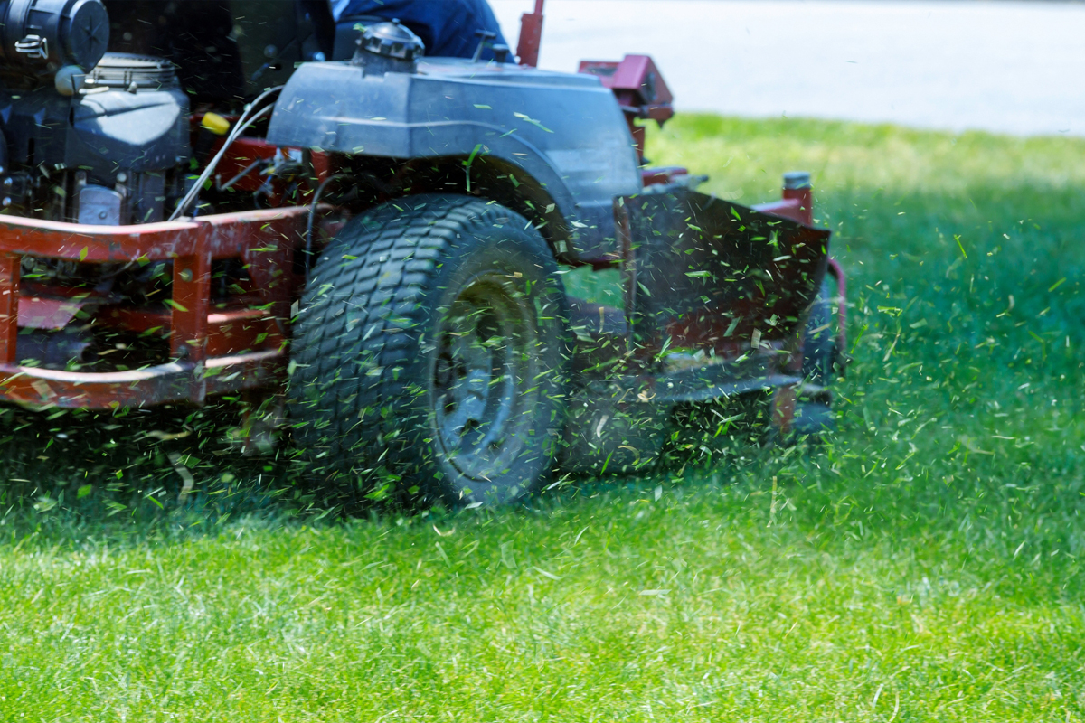 Best Web Design Practices for Florida Lawn Services