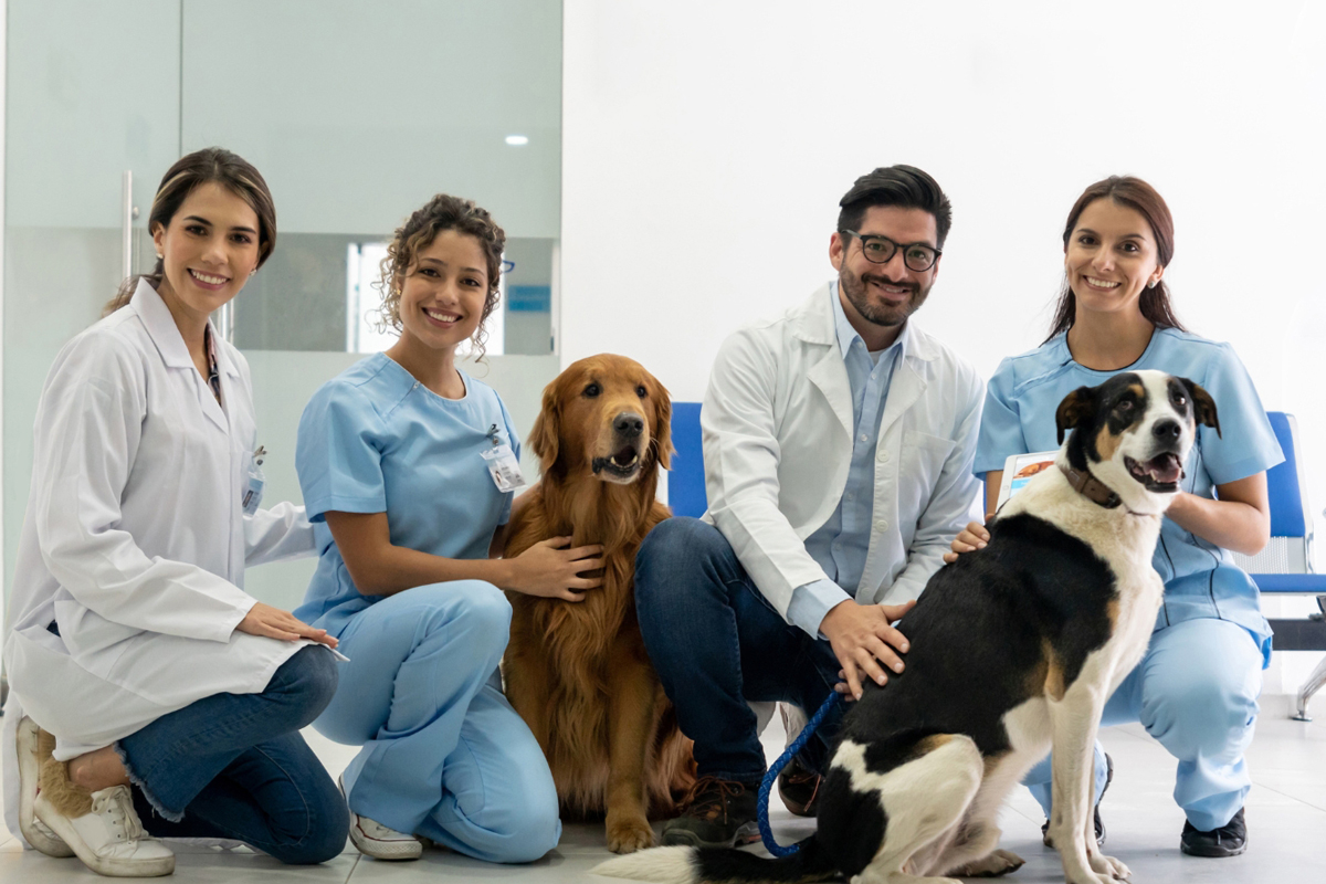 Blogging for Veterinarians