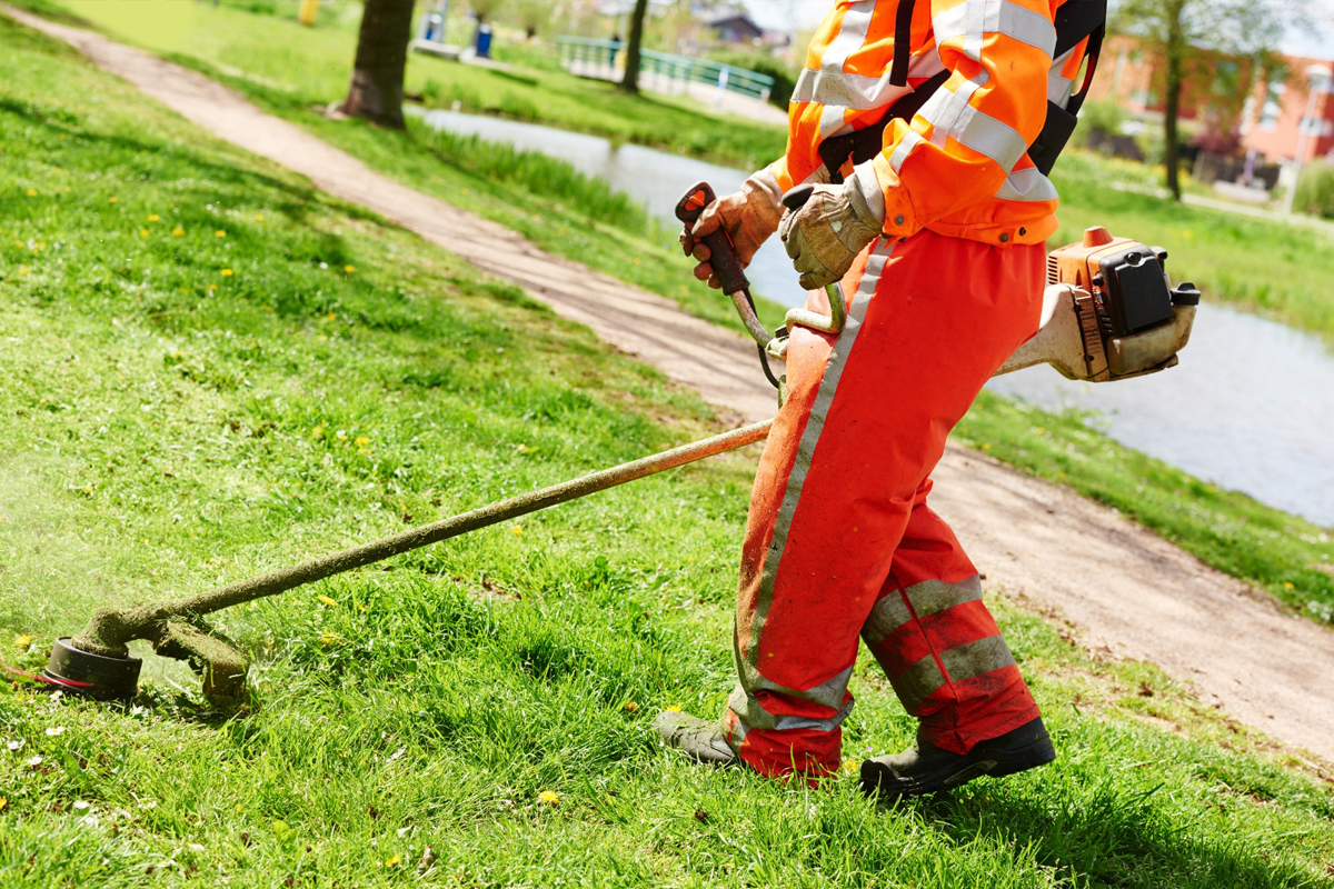 Lawn Care Companies Neighborhood Specific Keywords