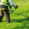 Optimize Your Lawn Care Gallery for Search