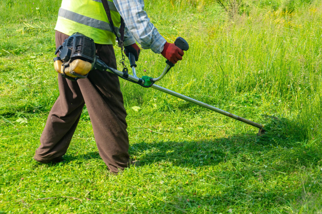 Optimize Your Lawn Care Gallery for Search