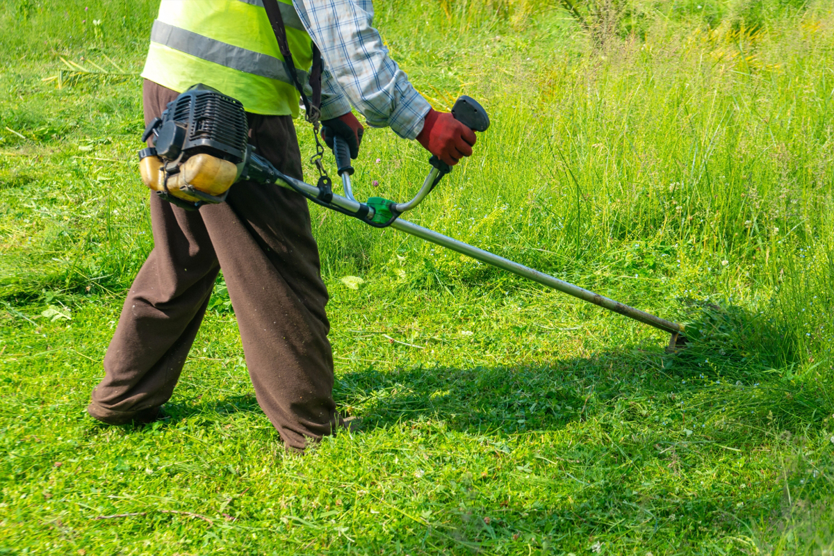 Optimize Your Lawn Care Gallery for Search