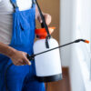 Pest Control Companies Should Publish Pest Identification Guides