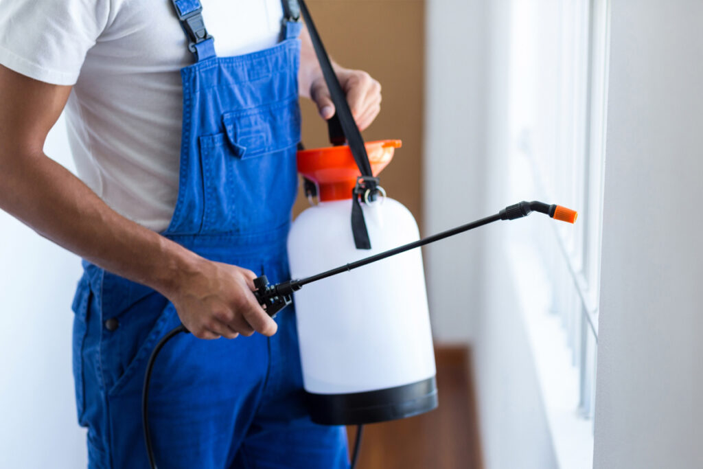 Pest Control Companies Should Publish Pest Identification Guides