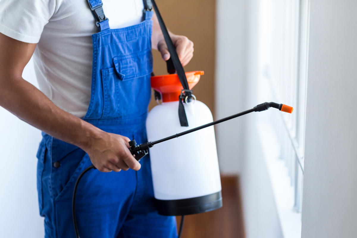 Pest Control Companies Should Publish Pest Identification Guides