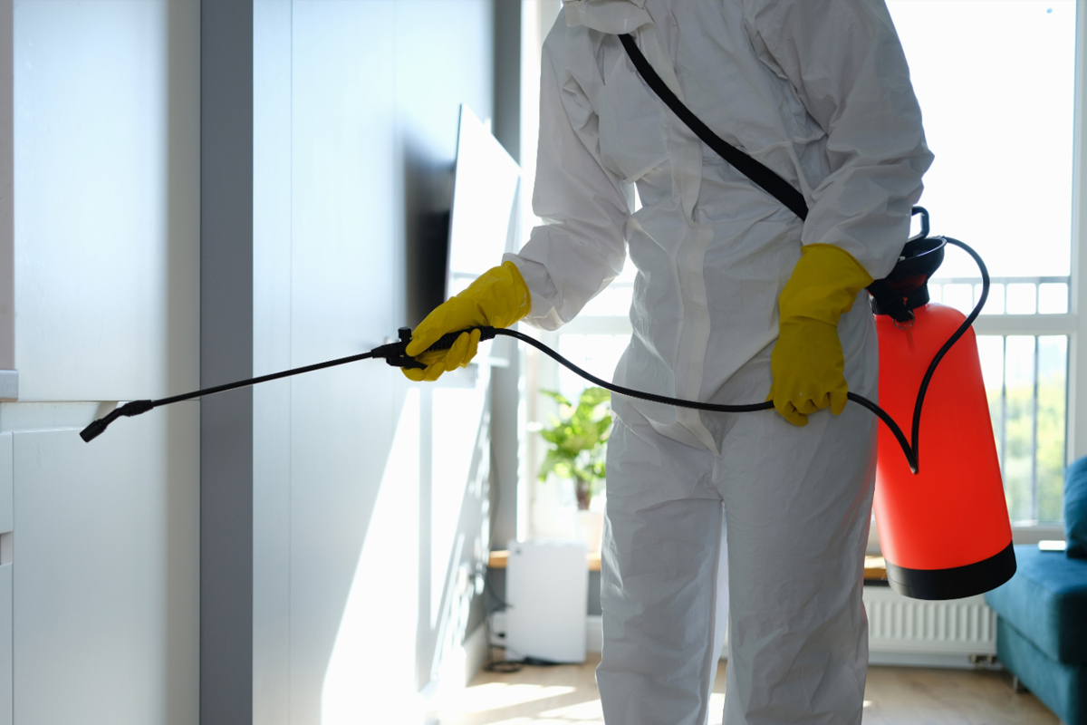 Reviews in Pest Control Local SEO Success