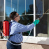 Seasonal SEO Tips for Florida Pest Control Services