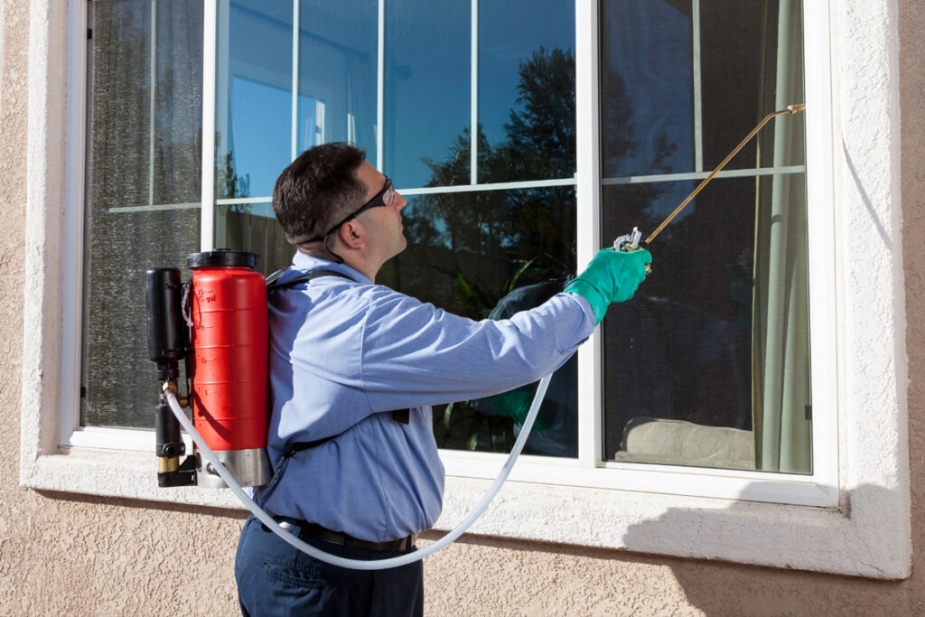 Seasonal SEO Tips for Florida Pest Control Services
