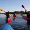 Why Tour Operators in Florida Need Mobile Optimized Websites