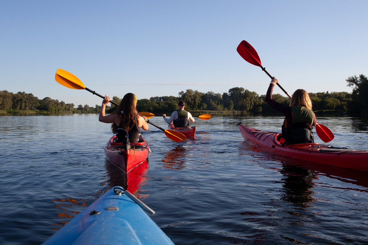 Why Tour Operators in Florida Need Mobile Optimized Websites