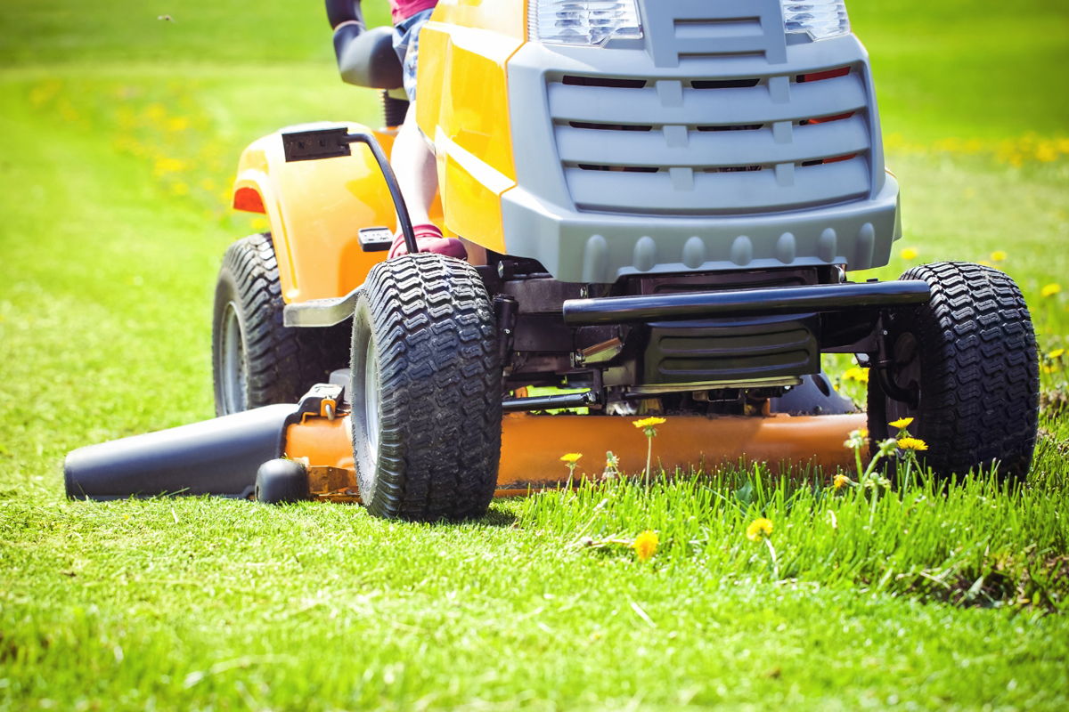 Florida Lawn Companies Blogging Topics