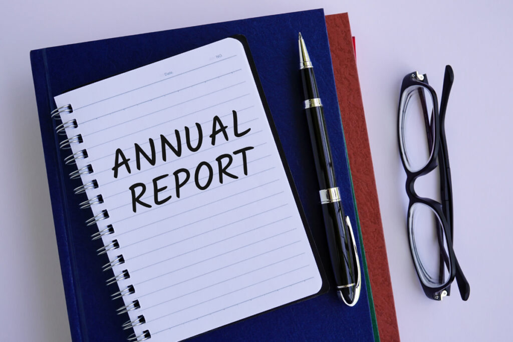 Annual SEO Audit