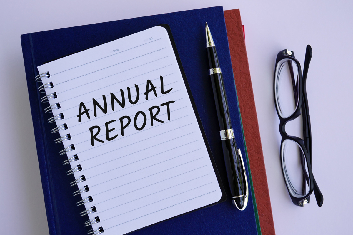 Annual SEO Audit