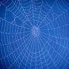 Internal Links Per Page SEO
