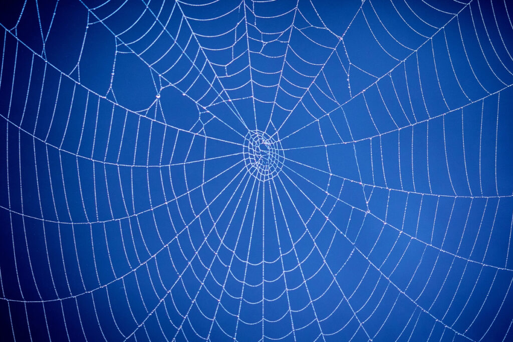 Internal Links Per Page SEO