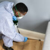 Landing Page Pest Extermination