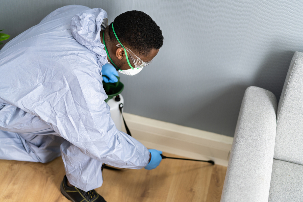 Landing Page Pest Extermination