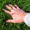 Local SEO for Lawn and Landscape Businesses